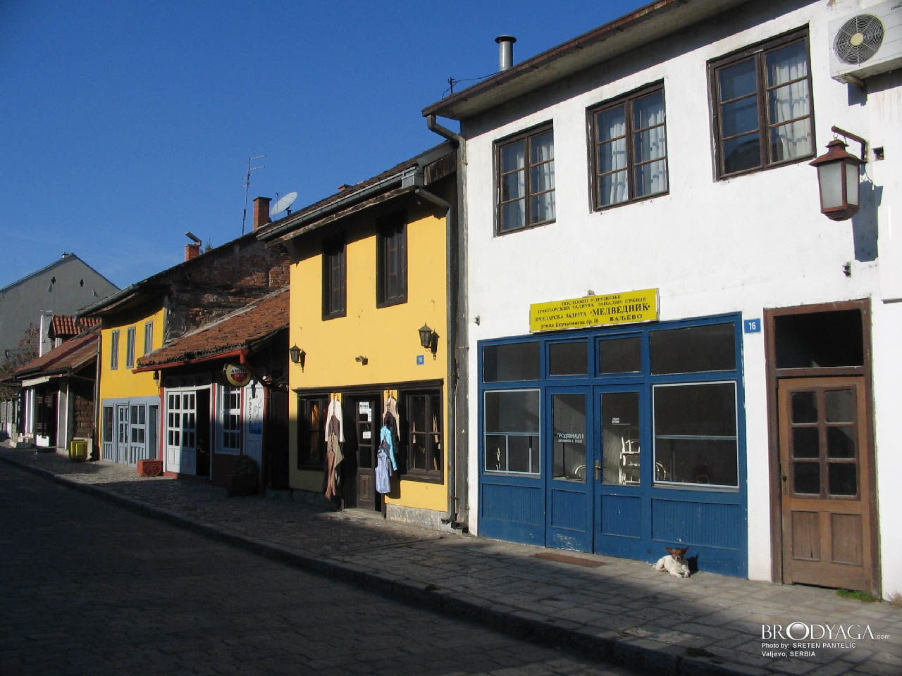 Tesnjar